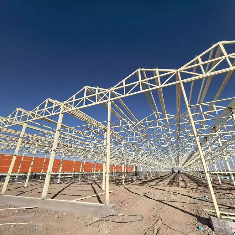 Hvorfor er en drivhusramme i galvaniseret stål det bedste valg til moderne landbrug